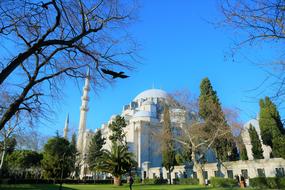 Cami Religion