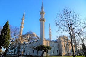trees near the minaret in turkey