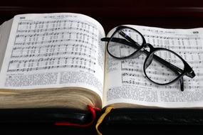 Bible Glasses Book
