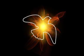 pentecost dove holy spirit bird