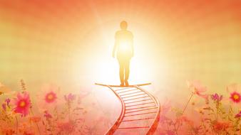 Silhouette of a person on the railway in light, among the colorful flowers