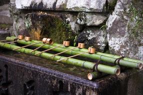 wonderful Bamboo Temple