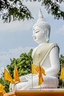 beautiful Big Buddha statue