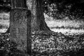 Grave Tombstone Stone close-up in black and white background