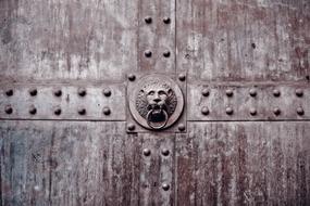 Close-up of the beautiful lion decoration, with the ring, on the door