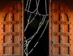 splendid Door Goal