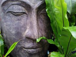 Buddha head in the garden