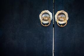 old dark door with golden handles