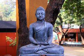 gray buddha statue in front of a tree