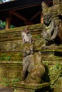 Bali Park