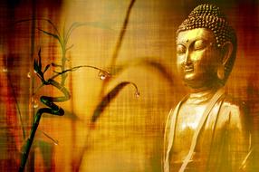 buddha and bamboo as background