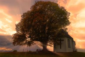 Beautiful chapel, near the colorful tree, on the beautiful landscape, at colorful and beautiful sunset