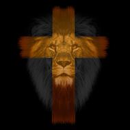 cross on the background of the face of a lion