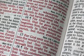 John 3 16 Bible