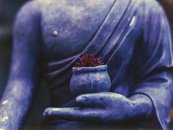 Buddha Plant