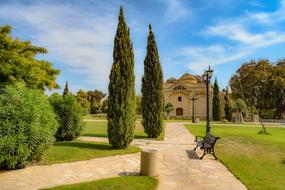 amazing Park Trees