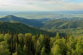 beautiful Mountains Forest