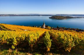 Landscape of the beautiful and colorful vines and church near the Lake of Biel Bienne in Ligerz, Switzerland