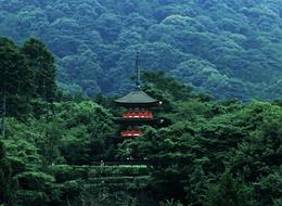 Pagoda in the thickets of the Japanese forest