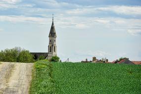 landscape of the green grass and beautiful Steeple on a Church