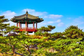 temple roof behind trees in south korea