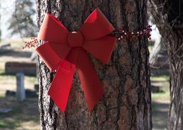 Holiday Decor Red Bow
