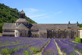 amazing Abbaye De SÃ©nanque Monastery
