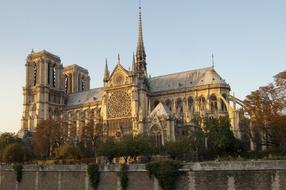amazing Notre Dame Paris