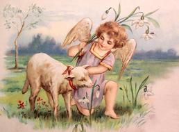 angel baby and lamb