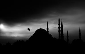 black and white photo of a mosque in Istanbul