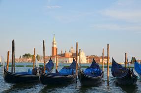 wonderful Gondolas Venice