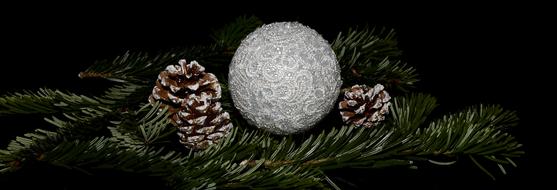 Christmas greeting, frosted pine cones and silver ball on fir branches