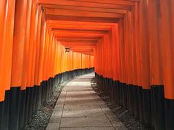 Beautiful, orange and black Inari temple in light, in Kyoto, Japan