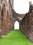 Beautiful ruins on the green grass