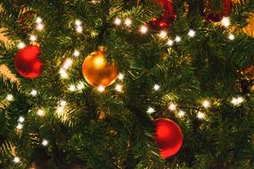 golden and red balls on christmas tree