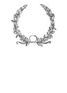 isolated holly Christmas wreath