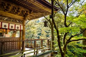 Landscape of temple in Natural forest in Japan