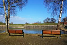 enchanting Wooden Bench