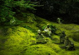 mossy Buddha Statues on slope at forest, Japan, kumamoto