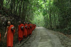 forest monks