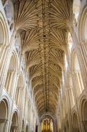 Beautiful and decorated interior of the cathedral in Norwich, England