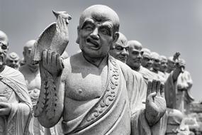 Face Buddha statue and bird