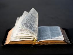 Beautiful, open, holy Bible book in light and shadow