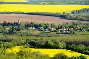 Yellow ripe fields in scenic countryside, hungary, Baranya, CsarnÃ³ta