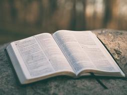 Holy Book Bible open