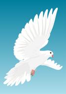 Beautiful painting of the white dove at background with beautiful, blue, gradient sky