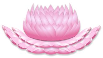 buddhist pink lotus