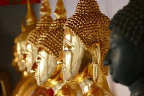 Profile portraits of the beautiful, golden, shiny Buddha statues in Wat Pho, Bangkok, Thailand