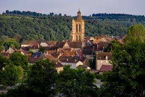 Village Church iin forest
