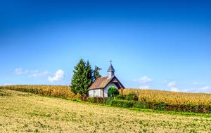 small Chapel at corn field